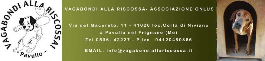 VAGABONDI ALLA RISCOSSA