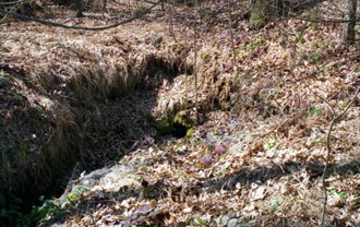 Bagni di Brandola