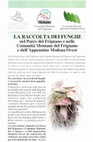 Opusculo norme funghi