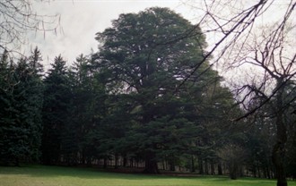 Parco Ducale 1