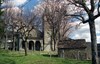 Pieve Romanica di s. Michele