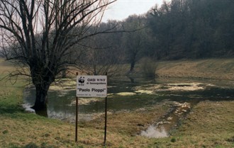 Riserva naturale orientata di Sassoguidano 1